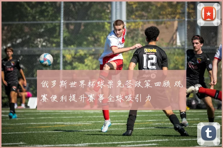 俄罗斯世界杯球票免签政策回顾 观赛便利提升赛事全球吸引力