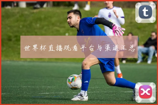 世界杯直播观看平台与渠道汇总